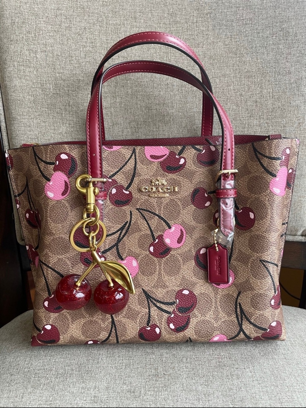 NWT！2PCS COACH Mollie Tote Bag 25 In Signature With Cherry Print（CZ772）HOLIDAY